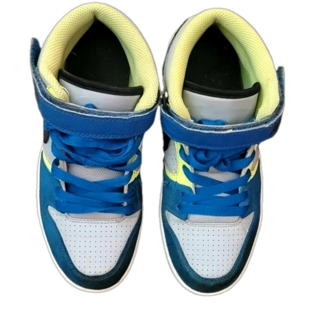 Nike SB low dunks
